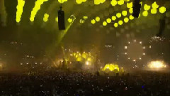 Sensation Celebrate Life