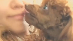 崔秀英Instagram更新Cut