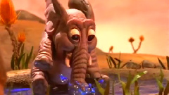 Southbound Pachyderm