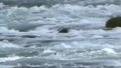 西洋乐 - 威廉退尔进行曲