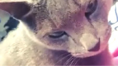 星期天晚上和希范一起看电视