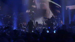 Pitbull - International Love