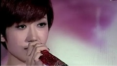 洪辰 - 误以为爱情