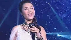 王莹 - 我爱你塞北的雪