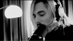 Lovebugs - 21st Century Man