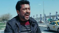 印度群星 - She Stole My Heart