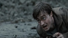 <Harry Potter And The Deathly