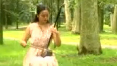 民乐群星 - 江河水