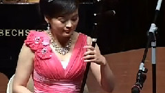 民乐群星 - 春诗