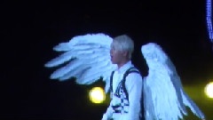 Wings Alive Tour in Nagoya