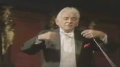 西洋乐 - Bernstein Schumann