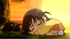 せんちめんたる じぇねれ~しょん