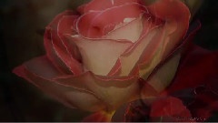 Giovanni Marradi - Maryanne's Theme