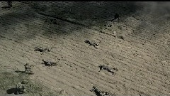 The Warrior Song <使命召唤8>插曲