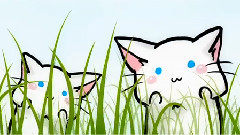 Nico - すーぱーぬこわーるど