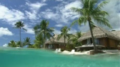 民乐群星 - 梁祝