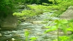 民乐群星 - 高山流水