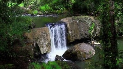 Guide Falls Tasmania