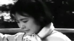 苦菜花开闪金光