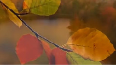 Scorpions,音乐短片 - Все Още Те Обичам