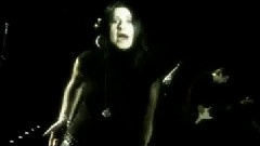 Bittersweet Nightshade