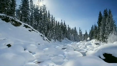 Yanni,音乐短片 - A Love For Life