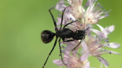 The Beauty Of Nature