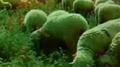 边疆处处胜江南