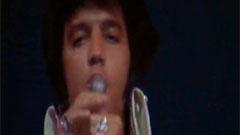 Elvis Presley - I Cant Stop Loving You Great