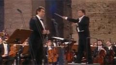 Dein Ist Mein Ganzes Herz