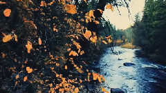 赵聪 - 江南印象