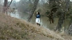 2014第17周世界各国冠军单曲盘点