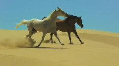 Enigma - Return To Innocence