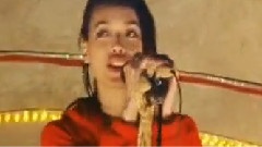 月亮代表我的心