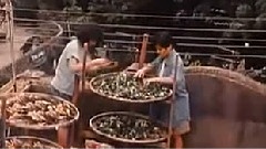 同志世界在你手