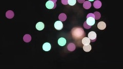 Young Liars - Echoists