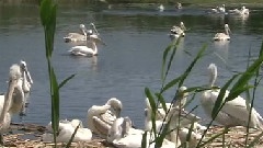 风景 - 普利特维自然保护区