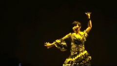 黄小琥 - 我的心里只有你没有他