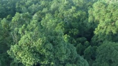 Ludovico Einaudi - Nefeli