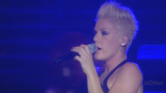 Pink - Family Portrait