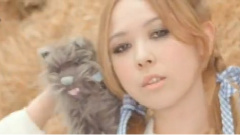 Tommy Heavenly6 - Papermoon