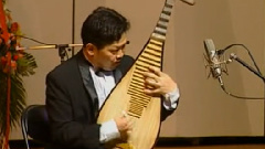 林嘉庆 - 十面埋伏