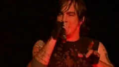 Three Days Grace - Animal I Have Become