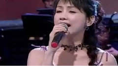 蔡幸娟 - 恰似你的温柔