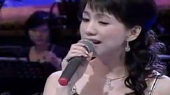 蔡幸娟 - 几多愁