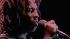 Ziggy Marley - We Propose