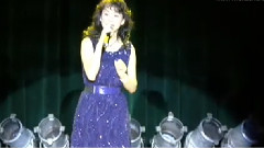 蔡幸娟 - 月亮代表我的心