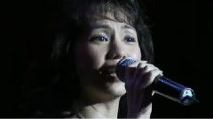 蔡幸娟 - 我只在乎你