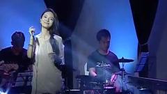 胡灵 - 宠物男孩