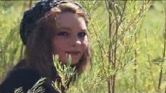 Tamas Wells - Valder fields